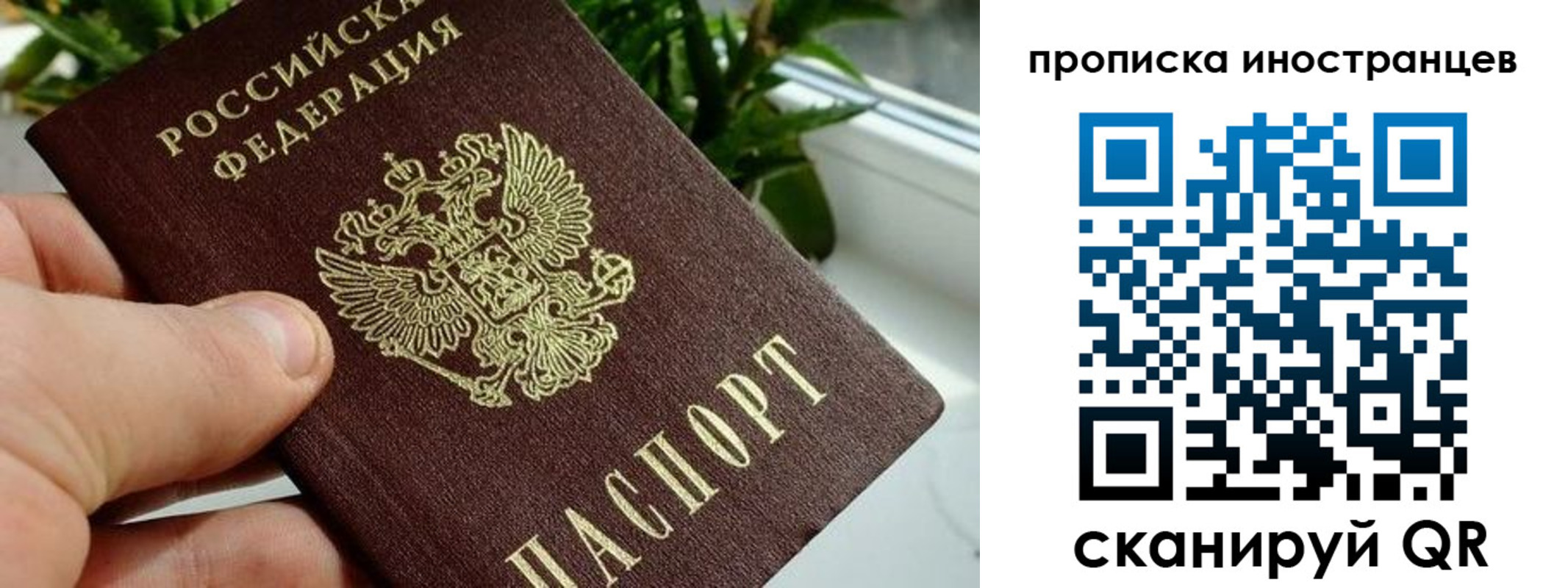 временная регистрация в Дигоре